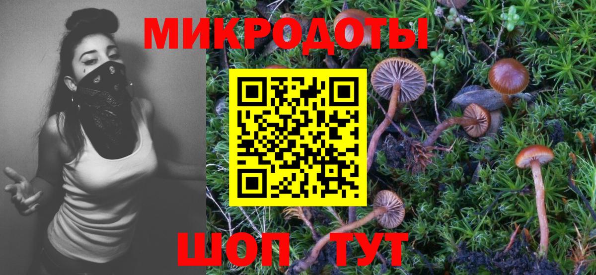 Псилоцибиновые грибы Cubensis Нефтекумск