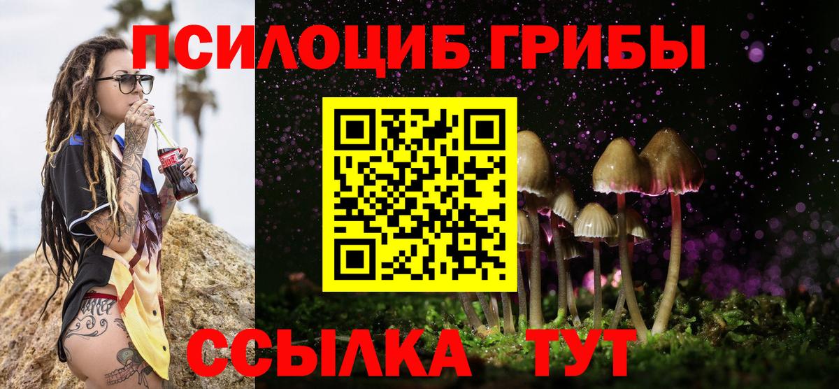 Нефтекумск  Галлюциногенные грибы мицелий  Вход с VPN  даркнет сайт  Псилоцибиновые грибы мицелий 